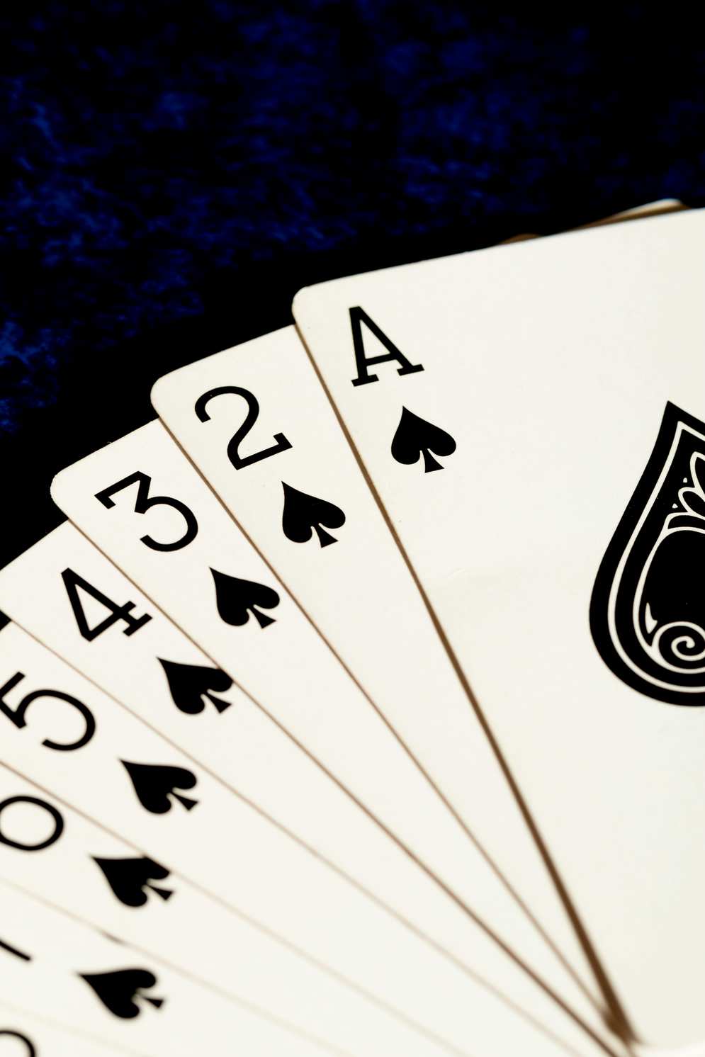 Plinko Casino Game: Ratings, Reviews & Where to Play Online